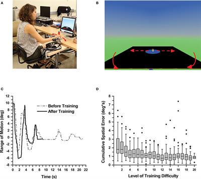 Somatosensory Training Improves Proprioception and Untrained Motor Function in Parkinson's Disease